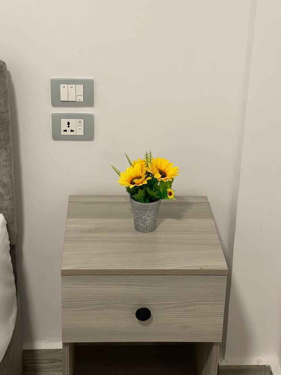 Park Plaza Hotel Кайро Екстериор снимка